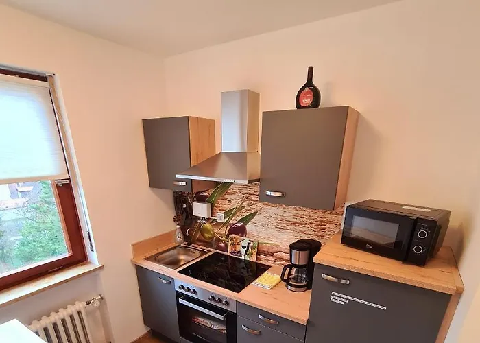 Apartment 1,5 Mit Traumhafter Aussicht Bad Kissingen